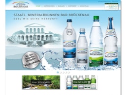 Internet www.badbrueckenauer.de