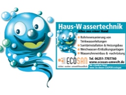 Logo und Anzeige Ecosan
